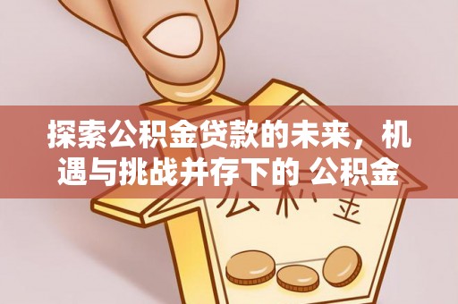 雷波探索公积金贷款的未来，机遇与挑战并存下的 公积金贷款风险防控
