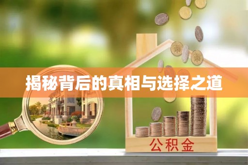 雷波揭秘背后的真相与选择之道