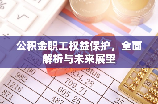 雷波公积金职工权益保护，全面解析与未来展望