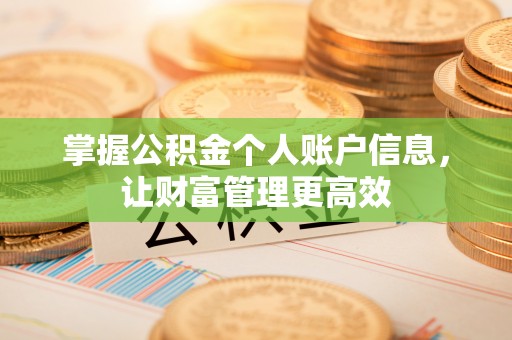 雷波掌握公积金个人账户信息，让财富管理更高效