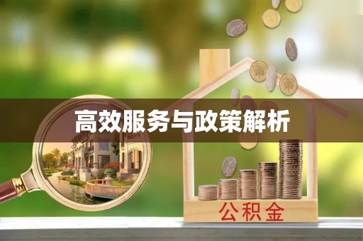 雷波高效服务与政策解析
