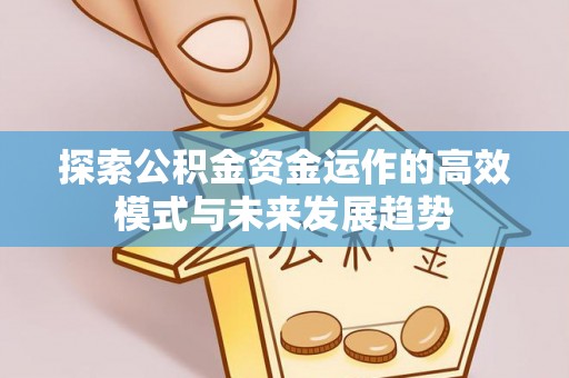 雷波探索公积金资金运作的高效模式与未来发展趋势