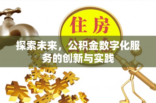 雷波探索未来，公积金数字化服务的创新与实践